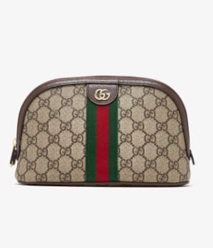 Gucci Cosmetic Case
