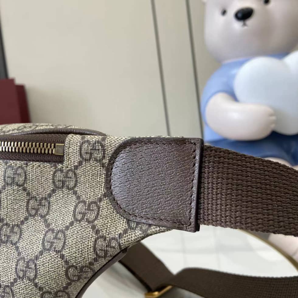 Gucci Ophidia Canvas Brown Belt Bag 839104_5_160698 Gucci Ophidia Canvas Brown Belt Bag 839104